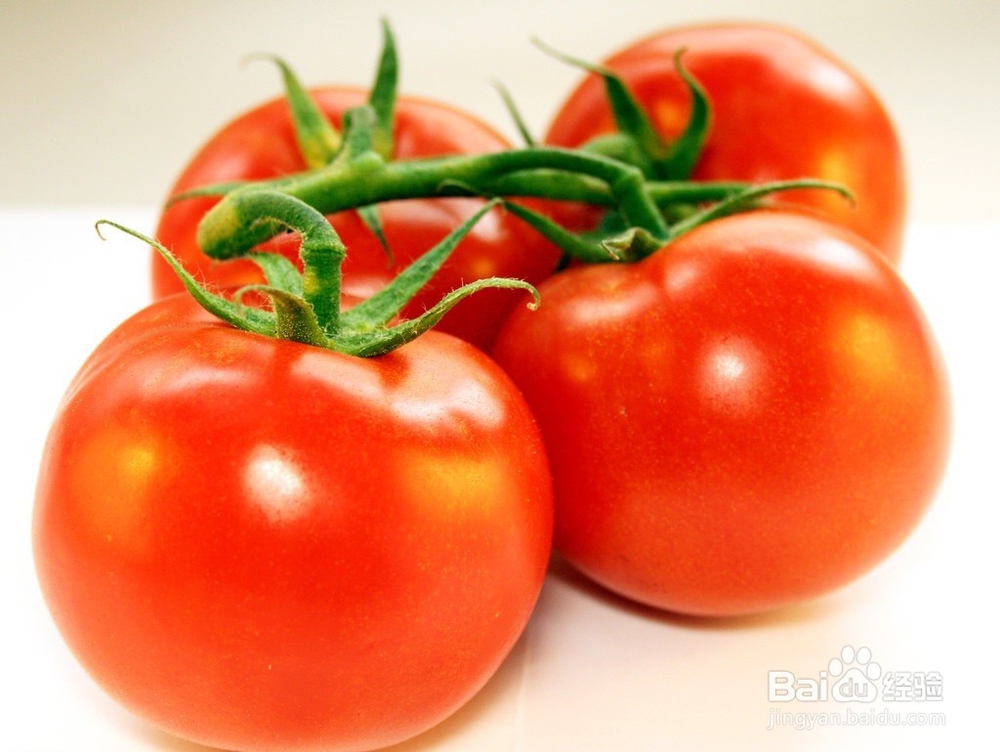 <b>西红柿选择方法</b>