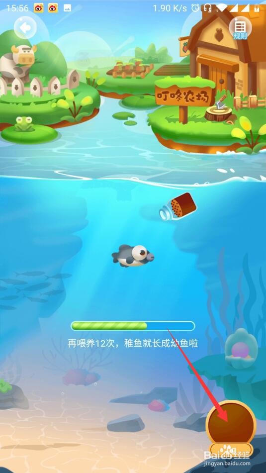 叮咚买菜如何免费领鱼