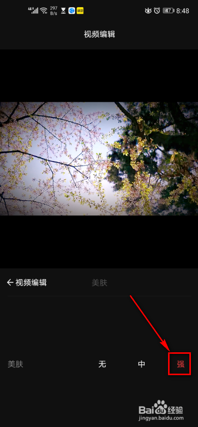 手机VUE软件 如何对视频进行美肤?