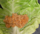 包菜鸡胸肉卷做法,减脂好吃!