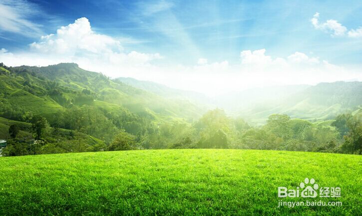 你说，去哪里享受一下阳光呢？