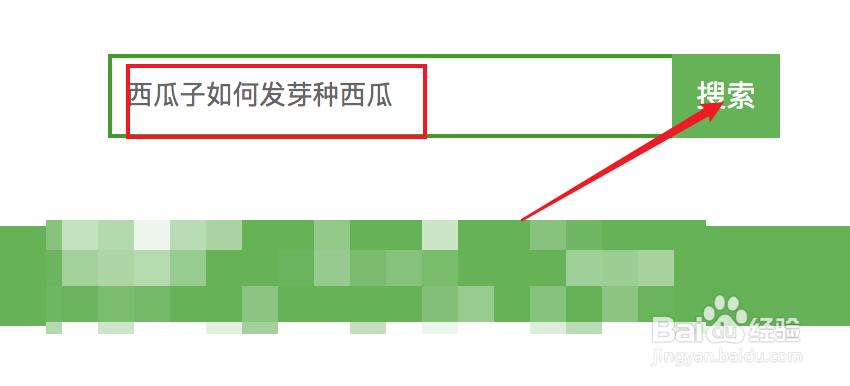 西瓜子如何发芽种西瓜