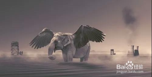 PS:创意合成正在飞的大象(下)