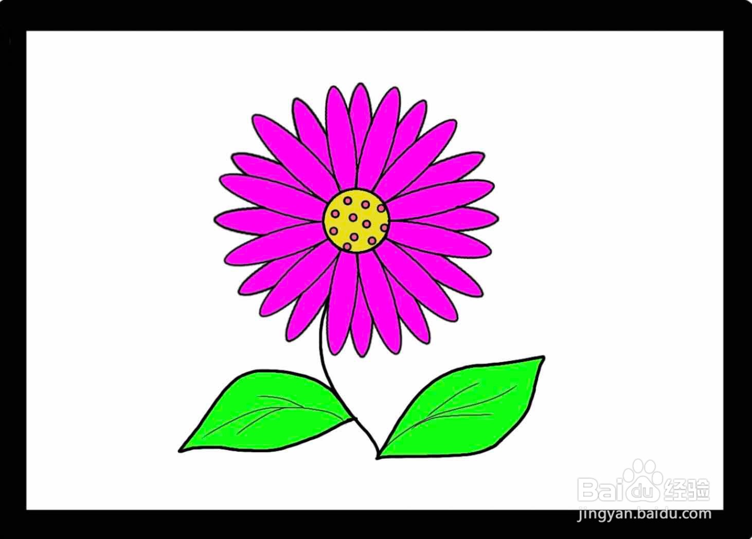 花朵简笔画（彩色）
