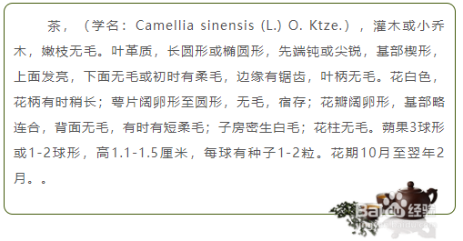 茶叶相关的微信公众号图文排版有哪些经典素材?