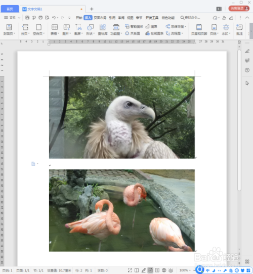 WPS文档中的图片怎样临时性隐藏?