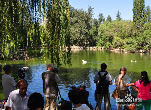 去哪些地方，要看好孩子呢？