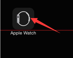 苹果手表微信反应迟钝