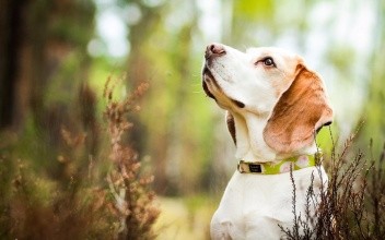 怎么相亲容易成功