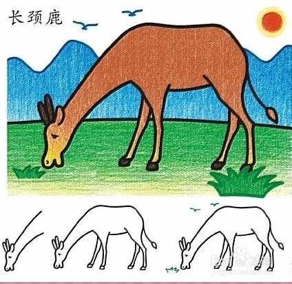 千载难逢的少儿智力开发简笔画教程