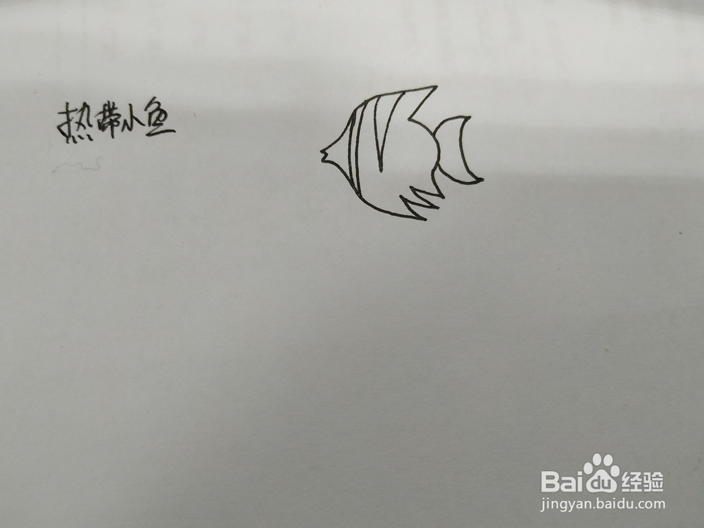 热带小鱼简笔画怎么画，怎么画热带鱼简笔画
