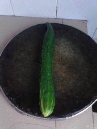 怎么做凉拌青瓜--夏季凉拌菜凉拌青瓜的方法