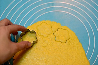 巧克力花儿饼干的做法