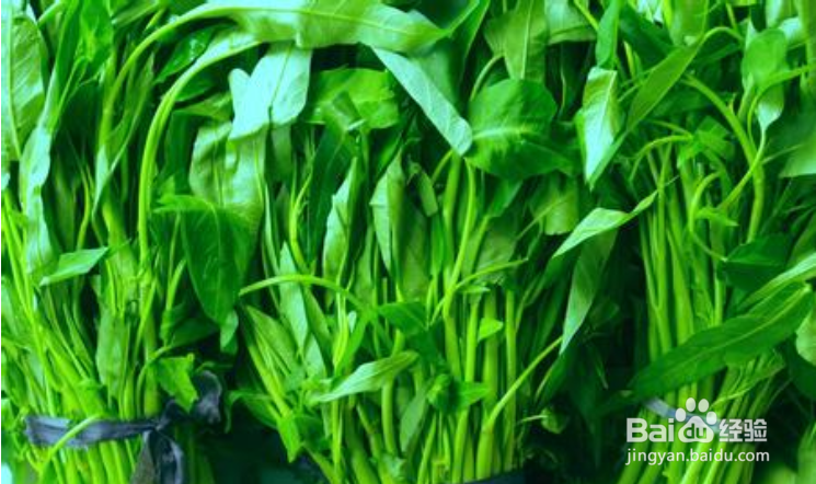 简单实用的减肥经验