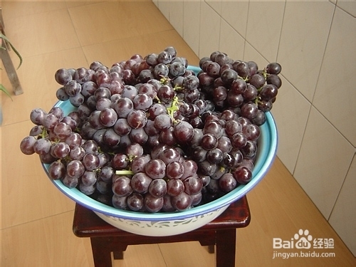 家庭自酿红葡萄酒权威教程