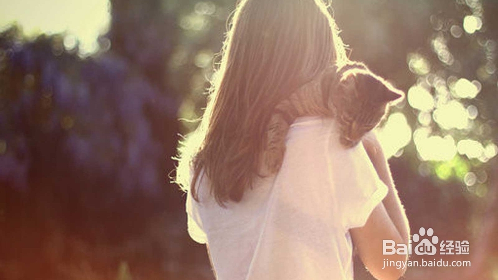 如何追求喜欢的女孩子?