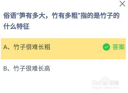 笋有多大,竹有多粗指竹子的什么特征蚂蚁庄园