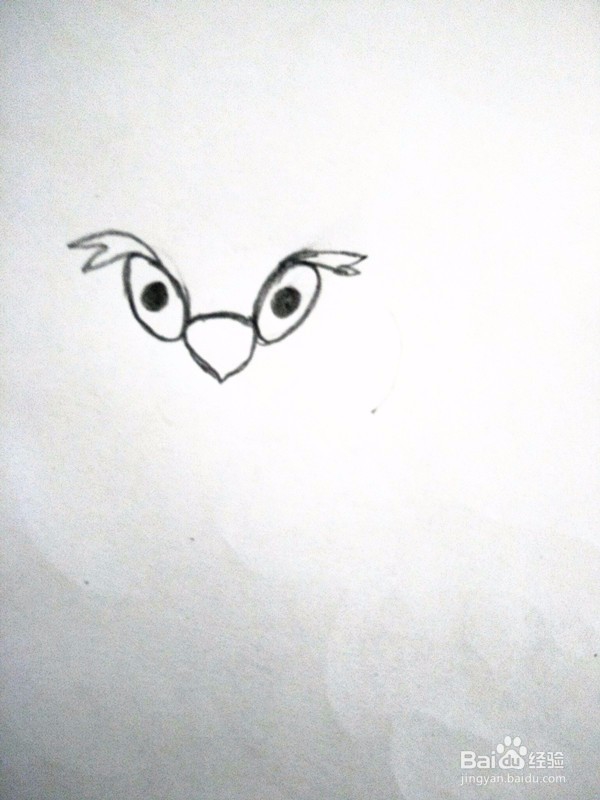 猫头鹰简笔画的画法