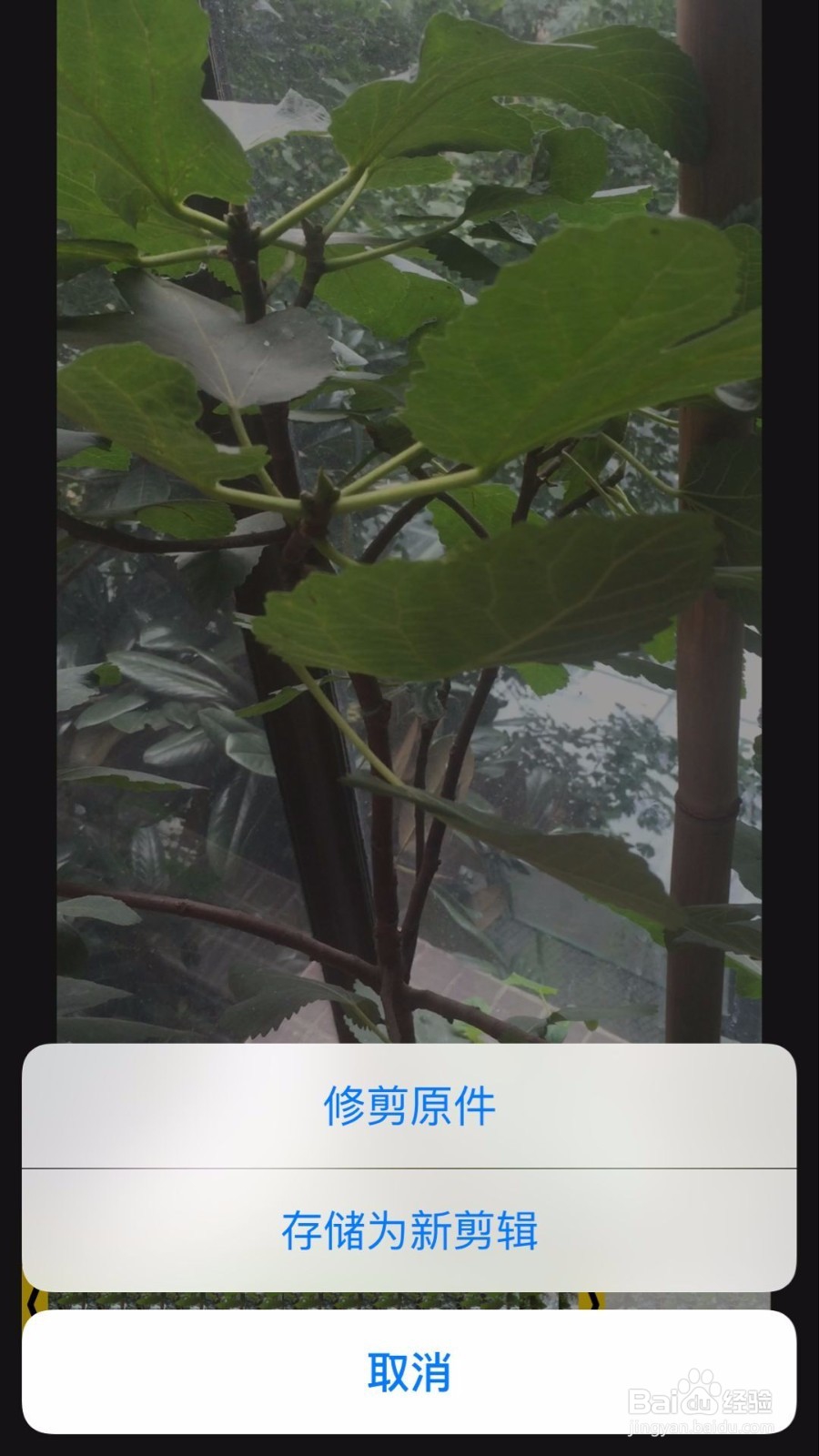 苹果手机如何用自带的相机录制和编辑视频