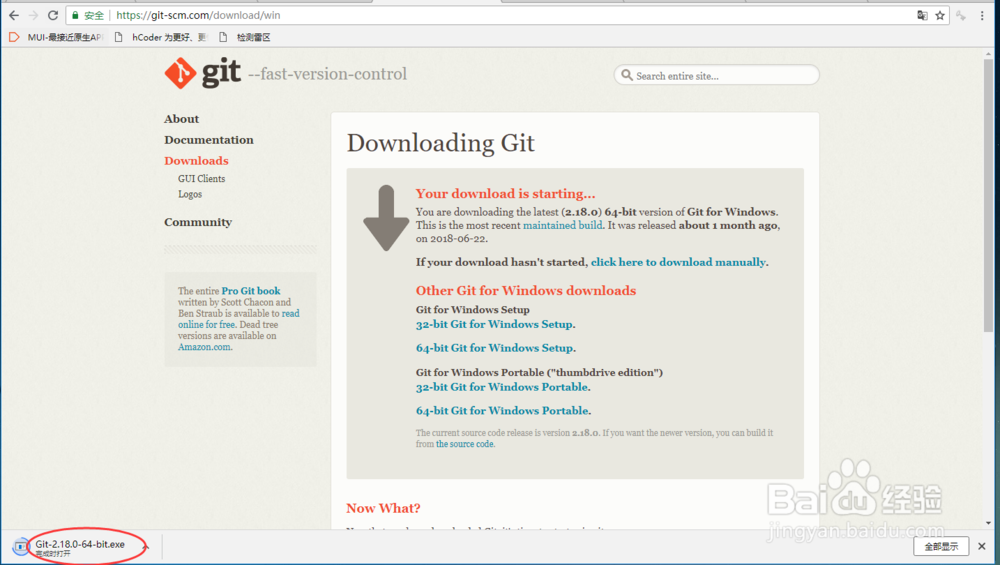 图解Windows 10下Git安装方法
