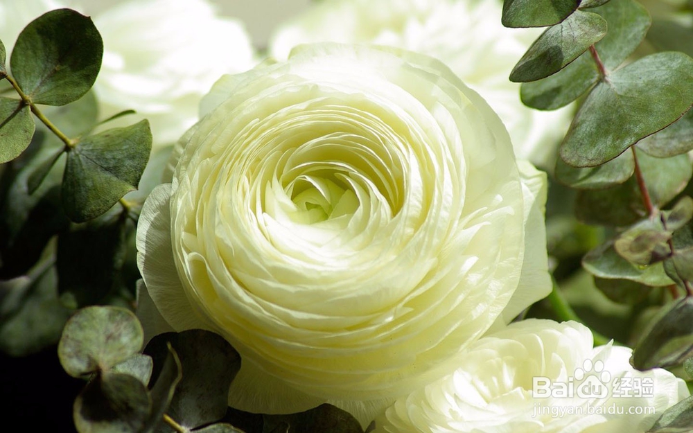 这些星座老公小金库会主动上交,是你老公吗?