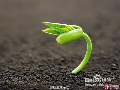 人生旅途中的感悟：[4]关于生与死的领悟