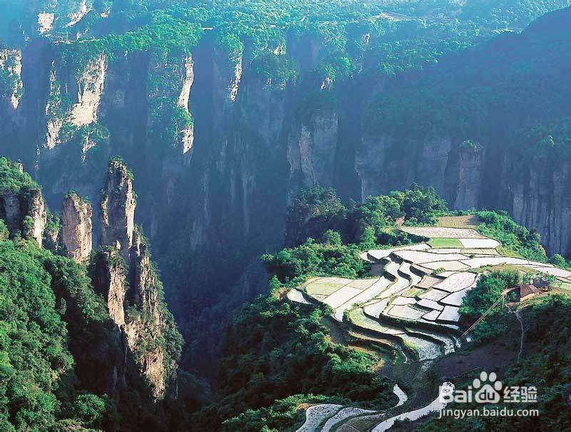 重庆到张家界自助游旅游攻略