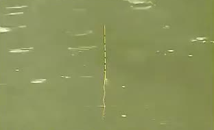 垂钓技巧 台钓技巧（4）