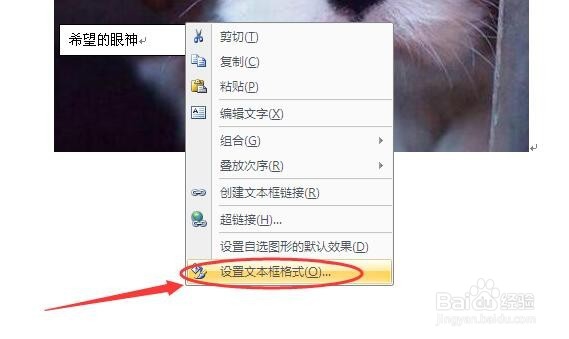 怎样在word里的图片上面添加文字