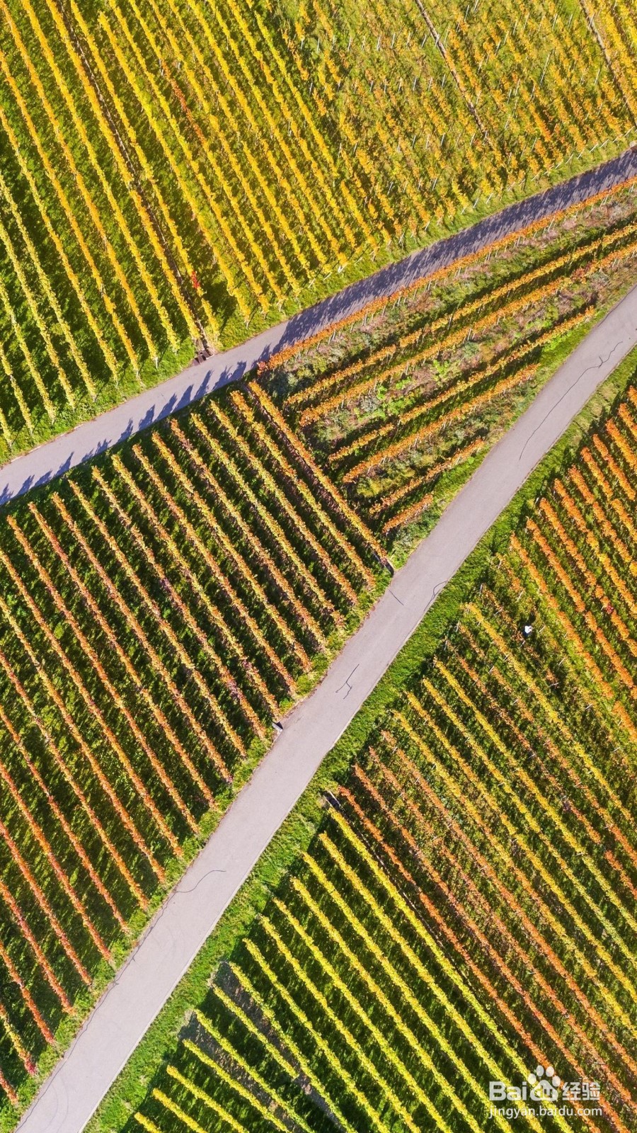 人际关系与心灵感悟8条