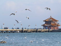 青岛市旅游攻略