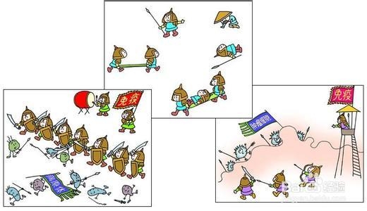 “小人参”胡萝卜的养生保健功效与作用
