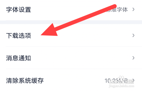 爱奇艺极速版开启流量下载怎么做