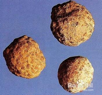 中医炮制：[95]蛇含石的炮制方法