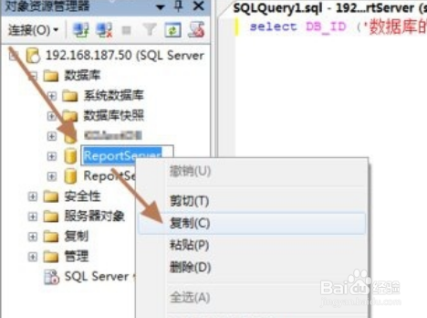 SQL怎么查询每个数据库的标识ID号