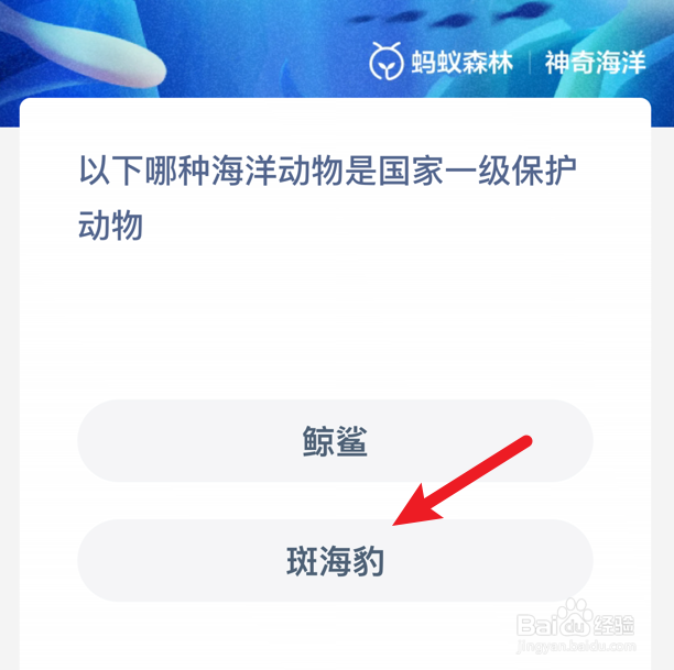 哪种海洋动物是国家一级保护动物？神奇海洋