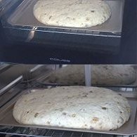 不点外卖122--燕麦核桃干果软欧包