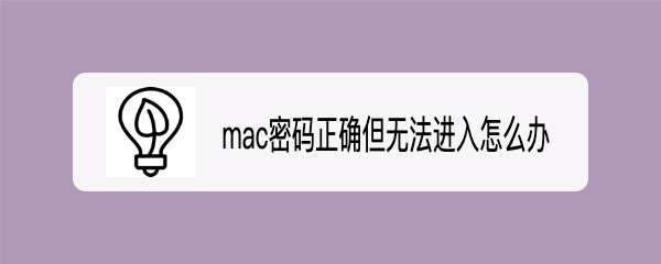 <b>mac密码正确但无法进入怎么办</b>