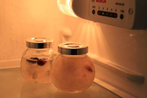 炖好后的燕窝保存方法