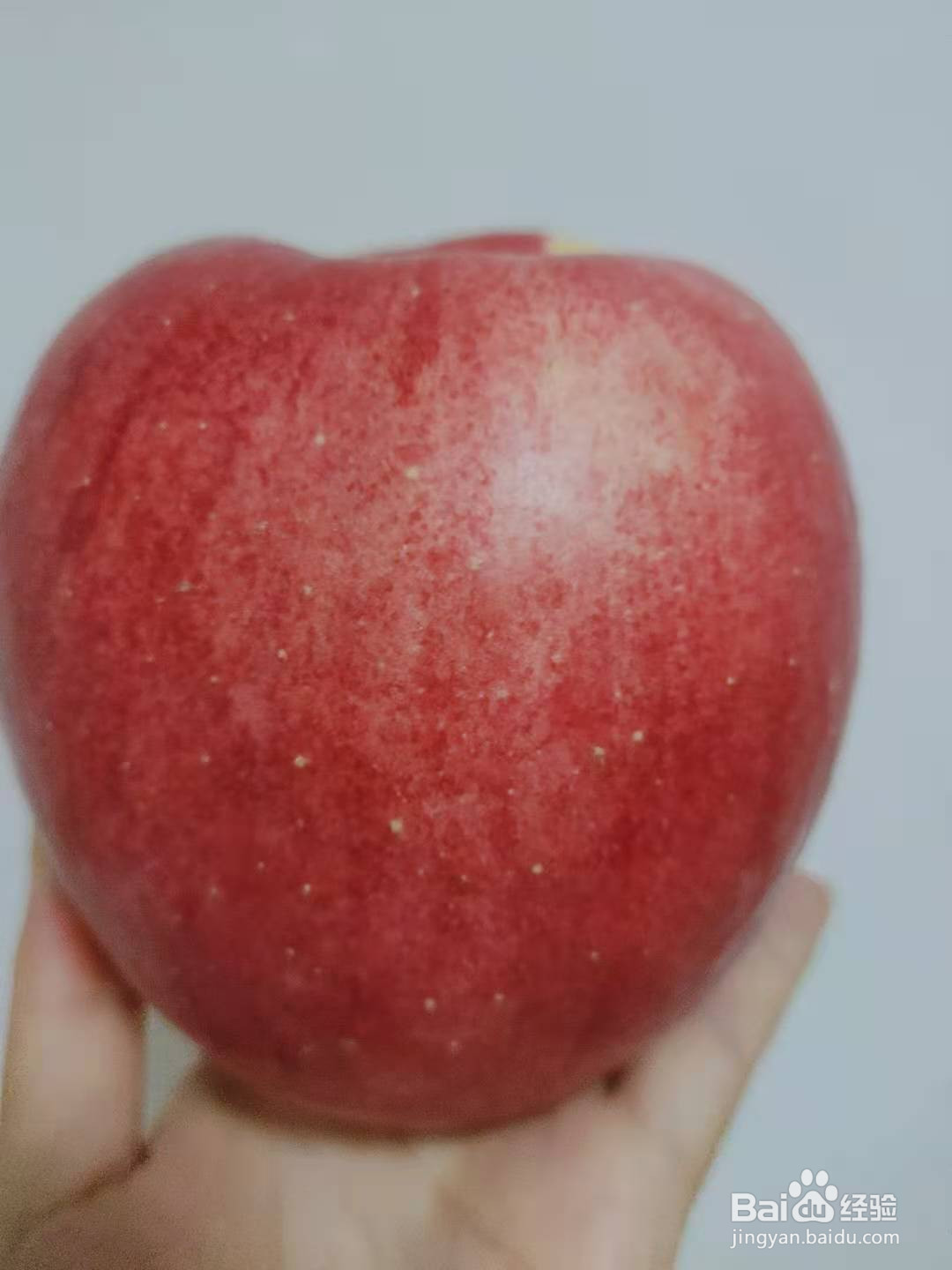 自己在家怎么晒苹果干