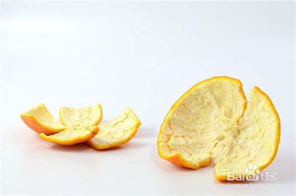 三妙招去除宠物身上的跳蚤