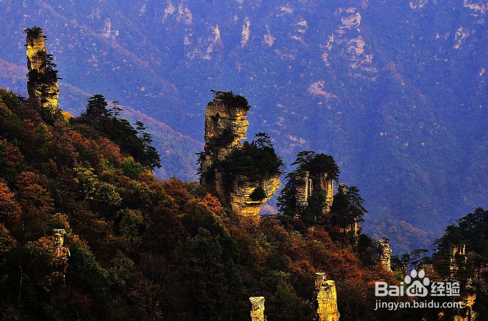 新乡到张家界自驾游