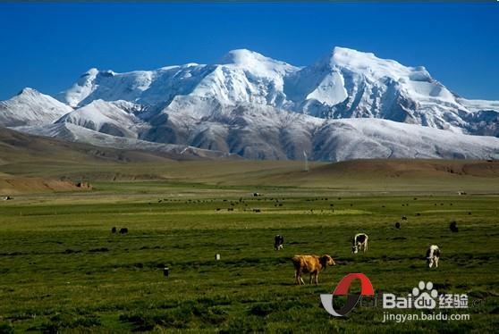 北疆，流动的胶片 十日自助游