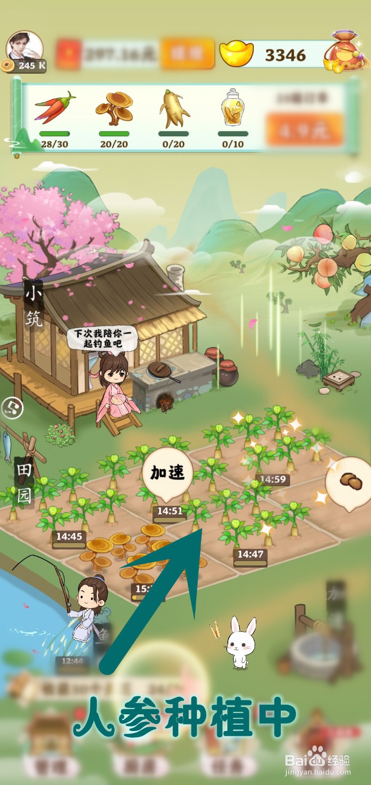 如何在仙山小筑游戏里完成人参订单