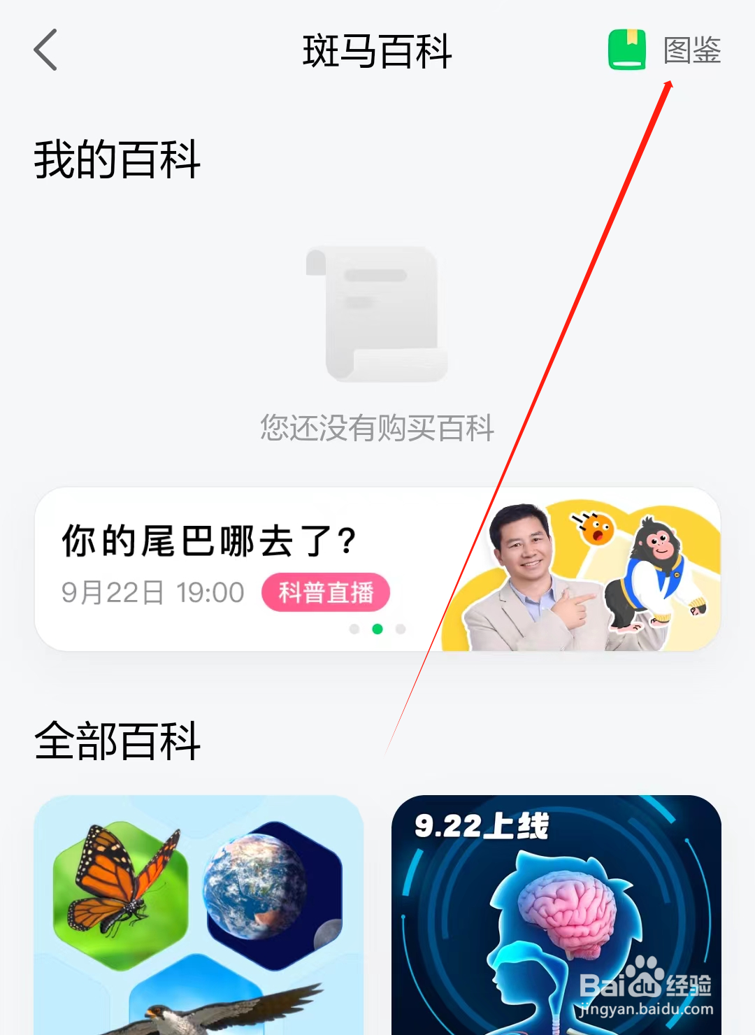 斑马怎样查看图鉴