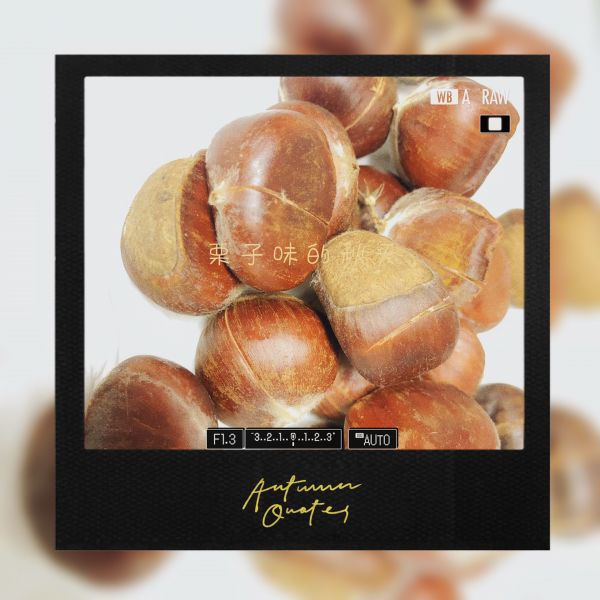 家庭版糖炒栗子