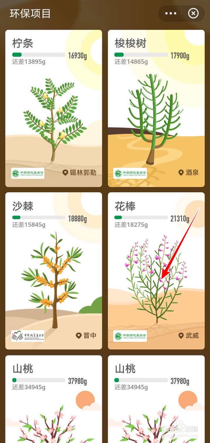 支付宝蚂蚁森林宠爱日秋日最美种树活动怎么参加