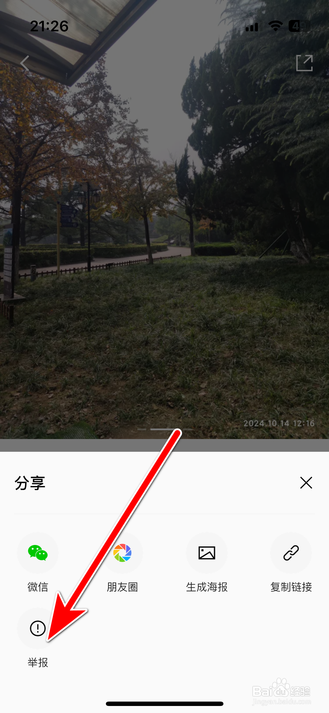 雷达汽车如何举报社区动态存在违规内容