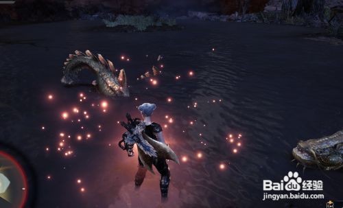 怪物猎人世界咬鱼在哪