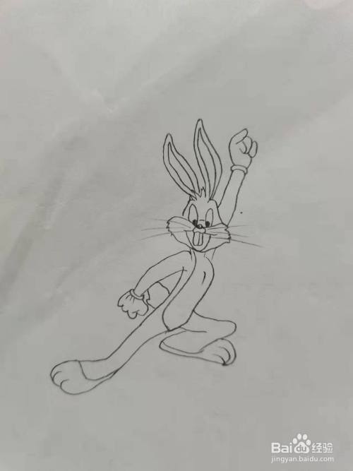 可爱的兔八哥简笔画